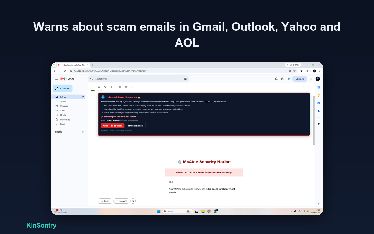 A red scam warning banner shown over a phishing email in Gmail.